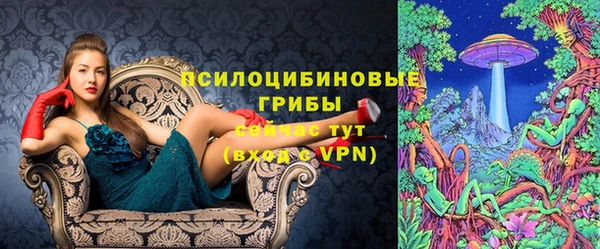 a pvp Белокуриха